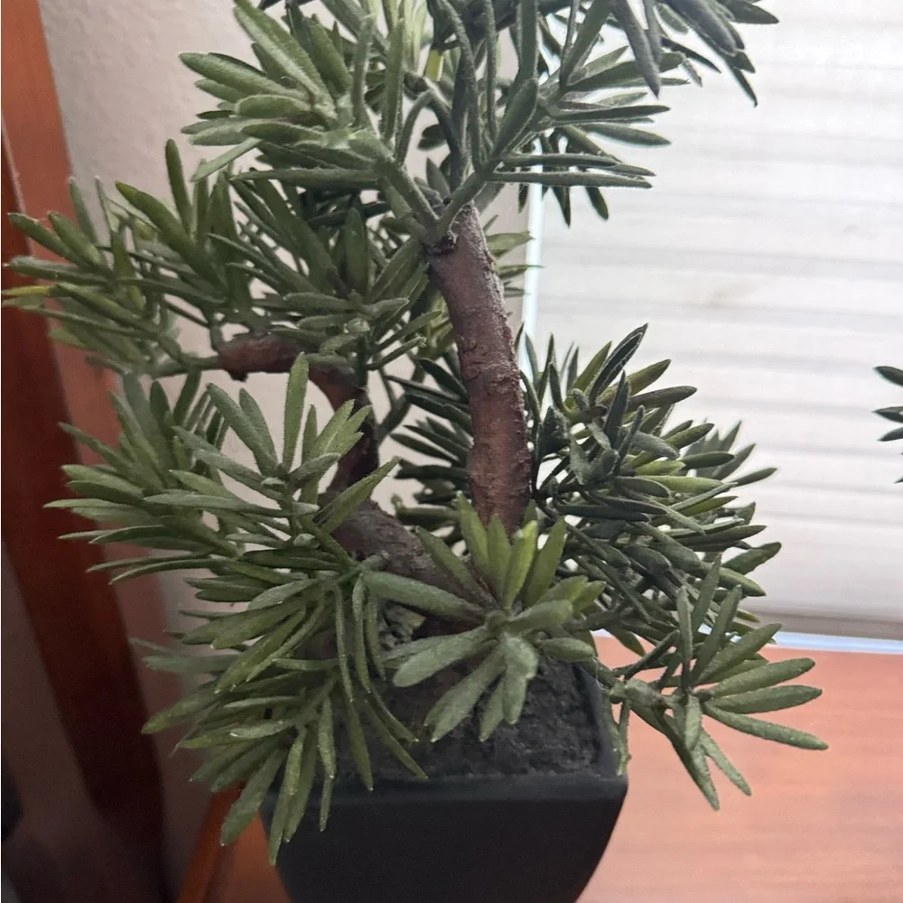 Artificial Pine Bonsai in Black Pot Set of 2